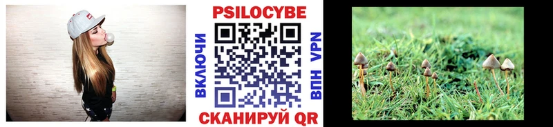 что такое   Брюховецкая  Галлюциногенные грибы Psilocybe 